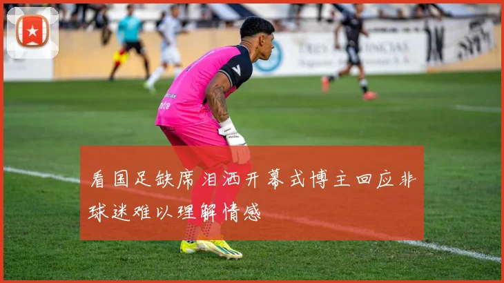 看国足缺席泪洒开幕式博主回应非球迷难以理解情感